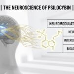 Neuroscience of psilocybin