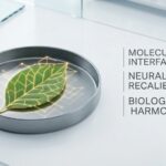 Plant Medicine Functional Chemistry