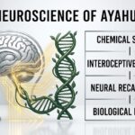 The Neuroscience of Ayahuasca
