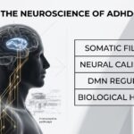 Neuroscience of ADHD