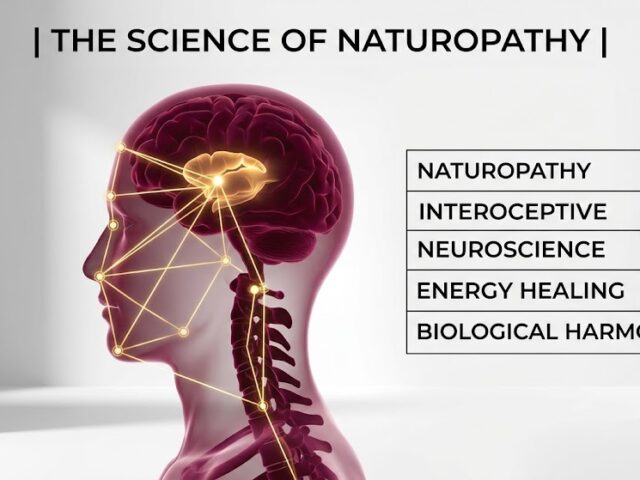 Naturopathy: The Science of Biological Harmony and Energetic Alignment